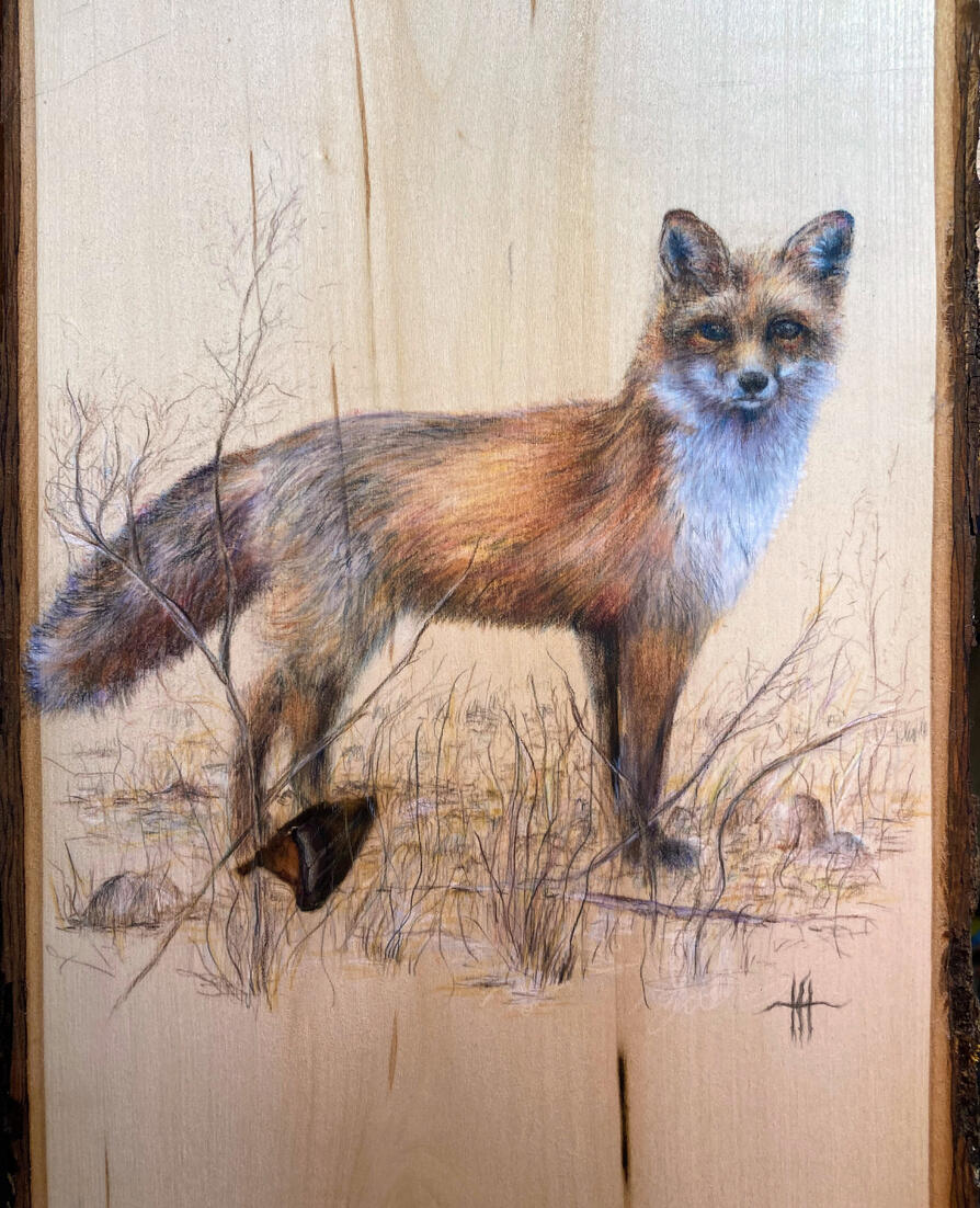 Colored pencil on live wood.