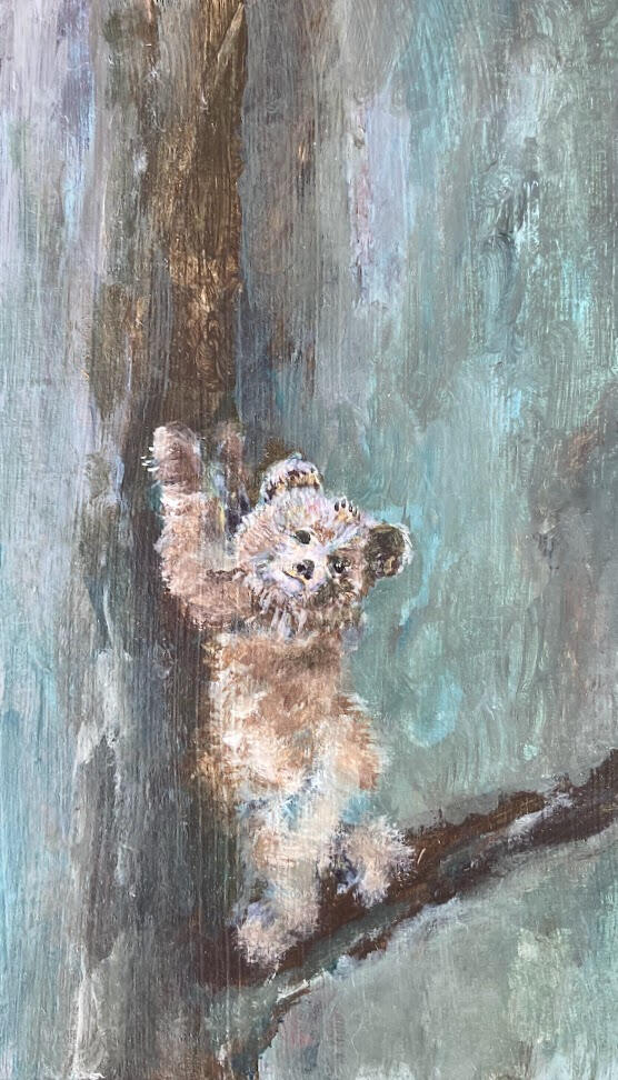 Bearcub Mini